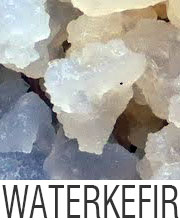 About water kefir grains