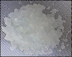 water kefir grains