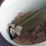 water kefir grains