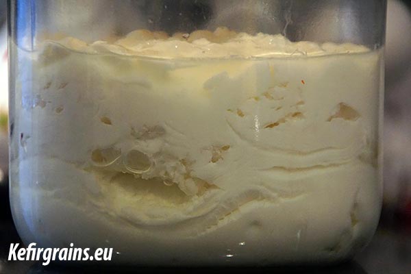 Kefir fermentation