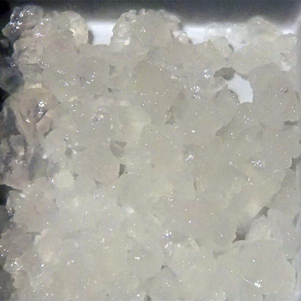 How do water kefir grains look like ?