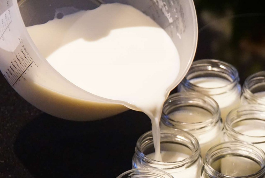 How To Make Yogurt - Step 2