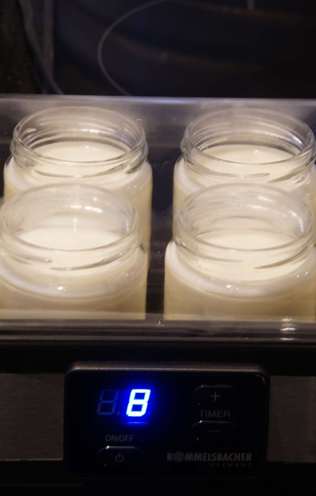 How To Make Yogurt - Step 3