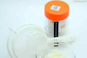 Buy milk kefir grains