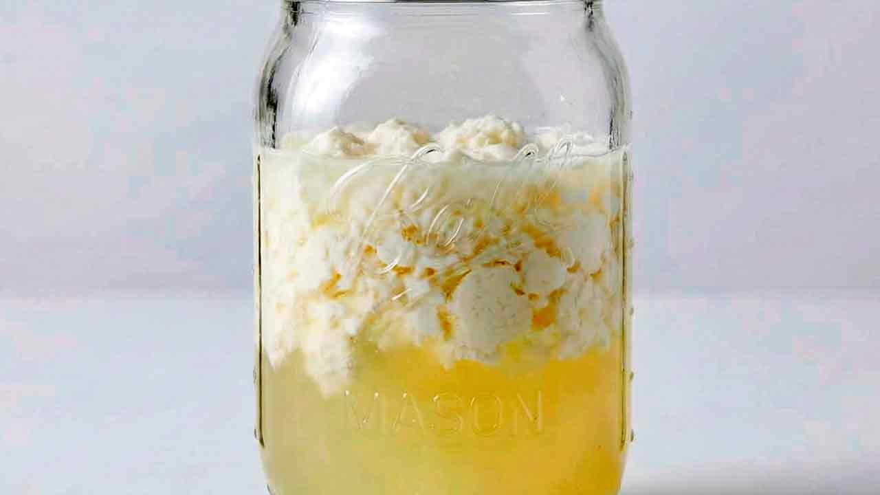 Separation of milk kefir into white curds and yellow whey showing over-fermentation